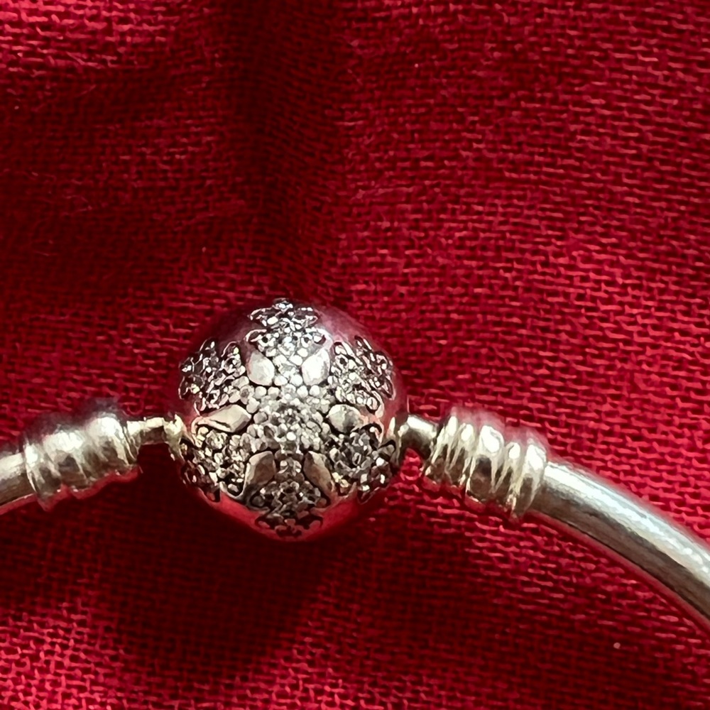 Pandora Unique As You Are Bangle - image 1